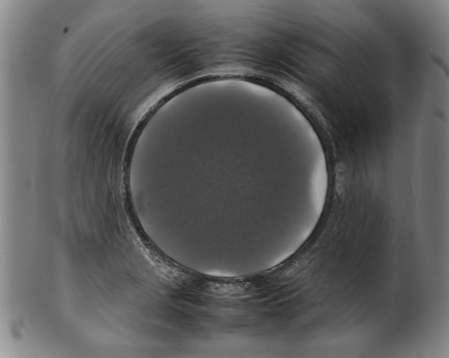 X0000099411229200806060924