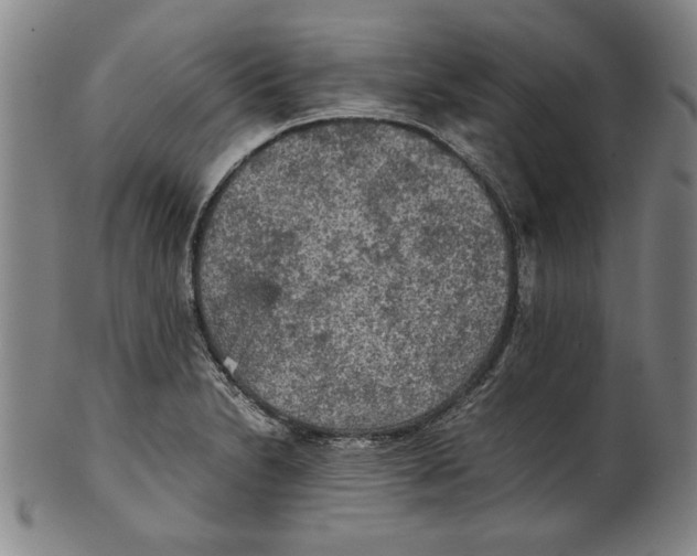 X0000099411230200806060924