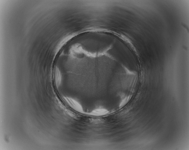 X0000099411231200806060924