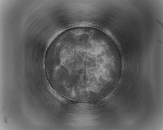 X0000099411232200806060924