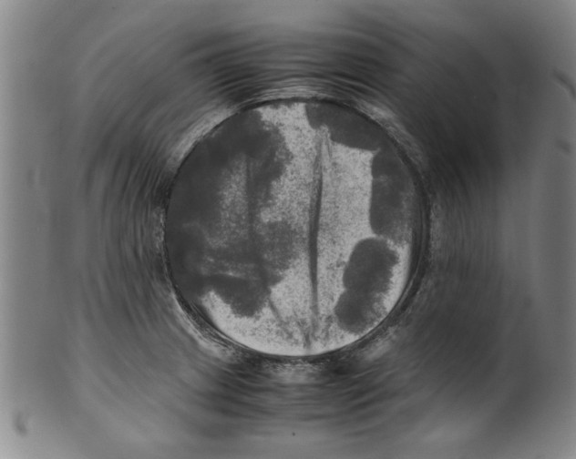 X0000099411233200806060924