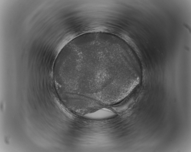 X0000099411234200806060924