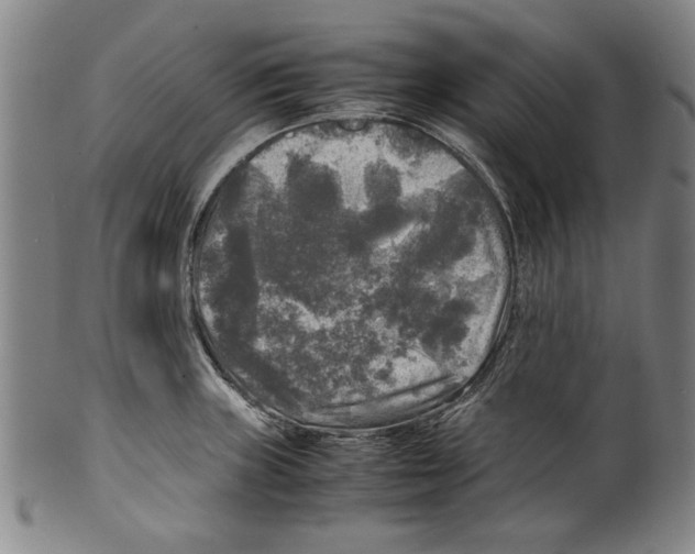 X0000099411235200806060924