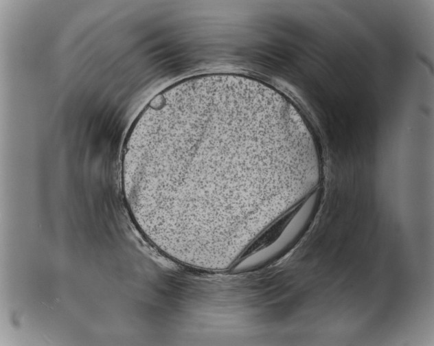 X0000099411236200806060924