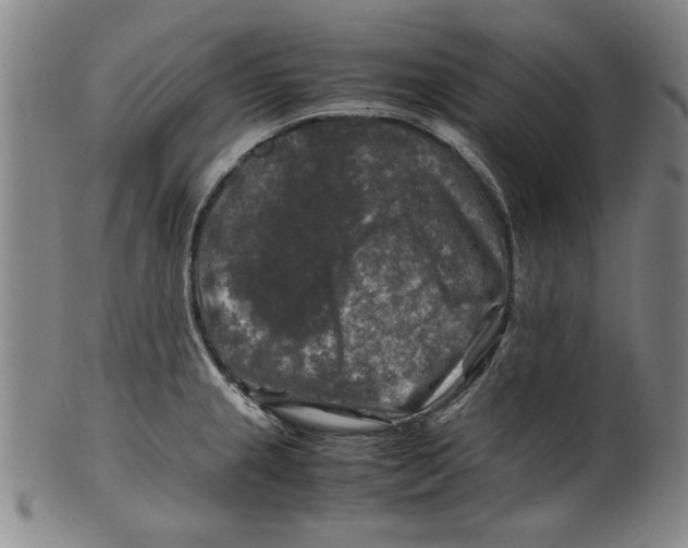 X0000099411237200806060924