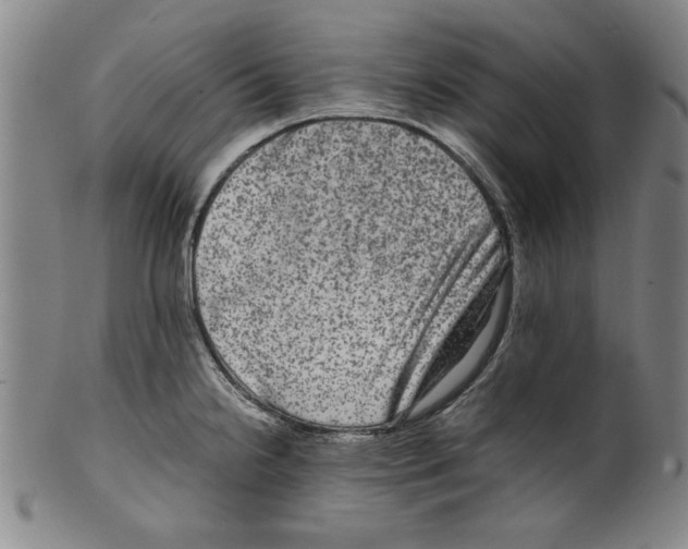 X0000099411238200806060924