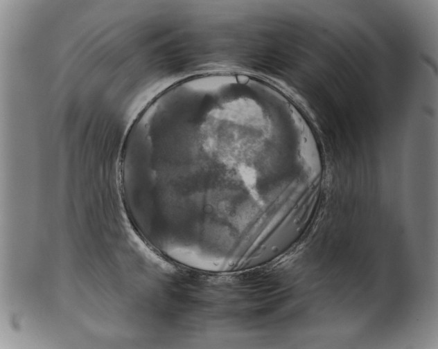 X0000099411239200806060924