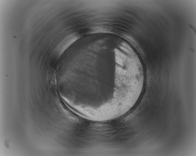 X0000099411241200806060924