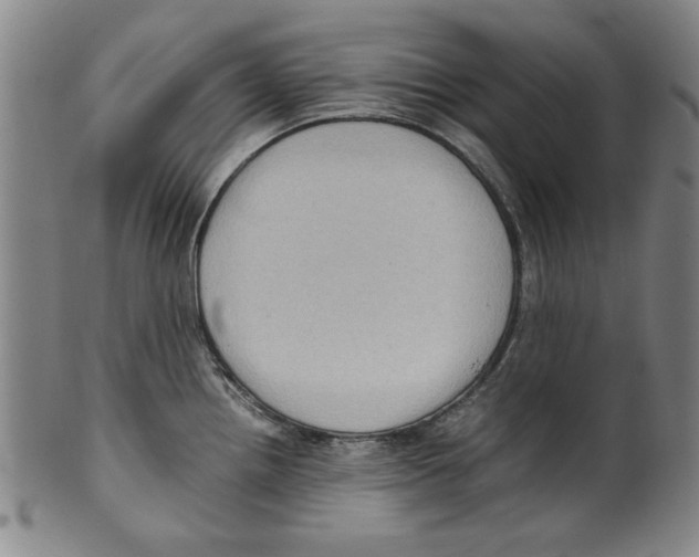 X0000099411242200806060924