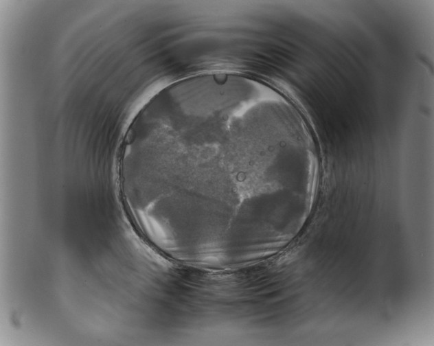 X0000099411243200806060924