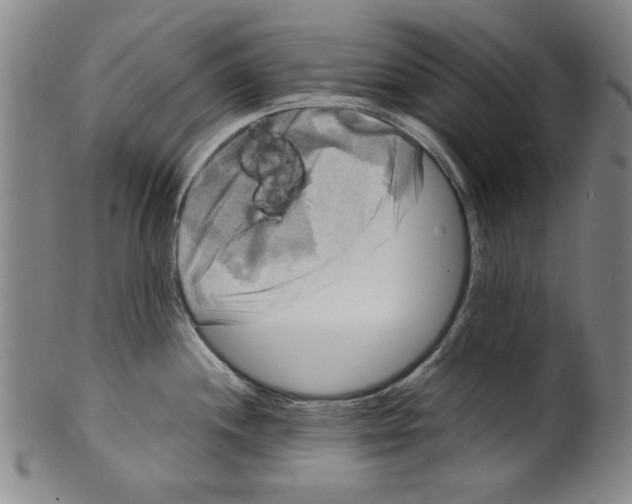 X0000099411244200806060924