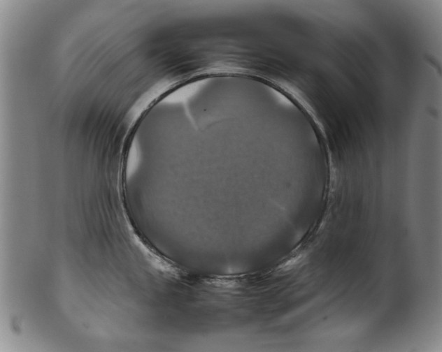 X0000099411245200806060924