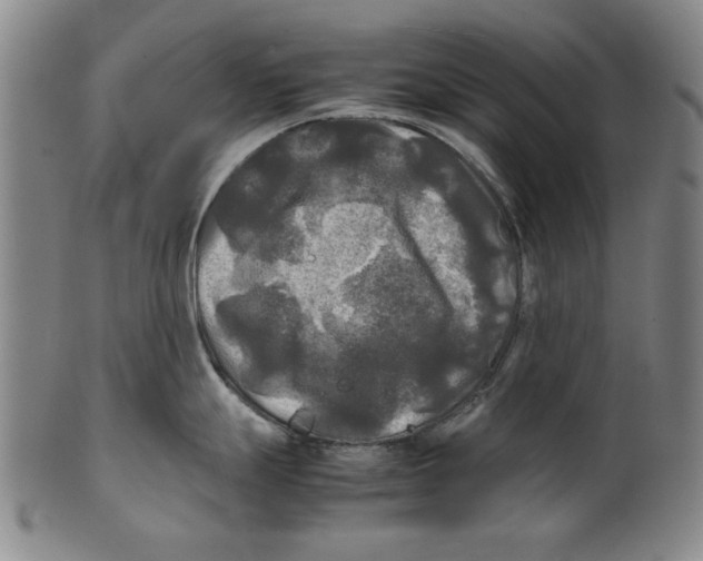 X0000099411247200806060924