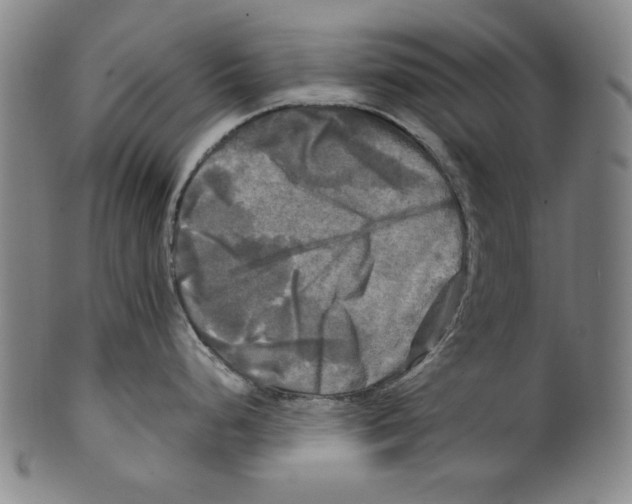 X0000099411248200806060924