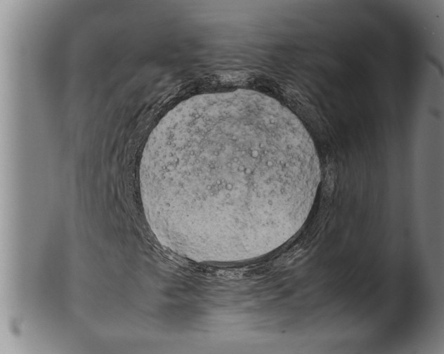 X0000099411249200806060923