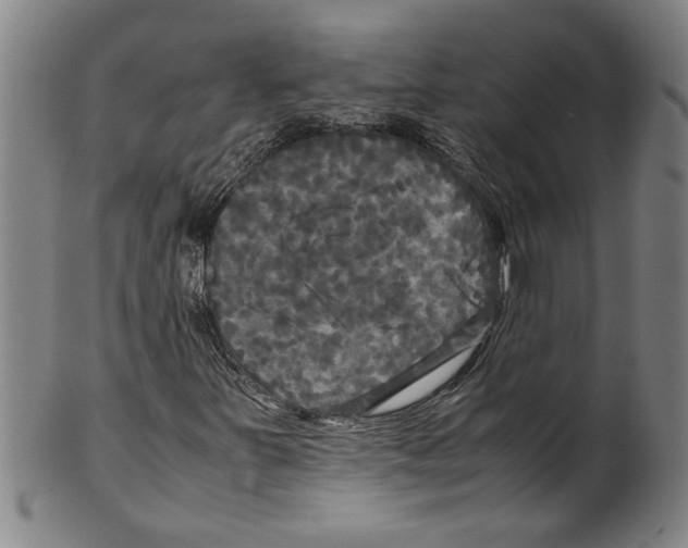 X0000099411251200806060923