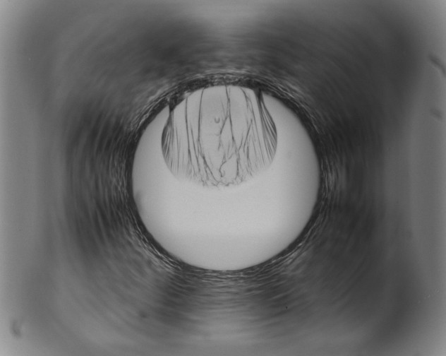 X0000099411252200806060923