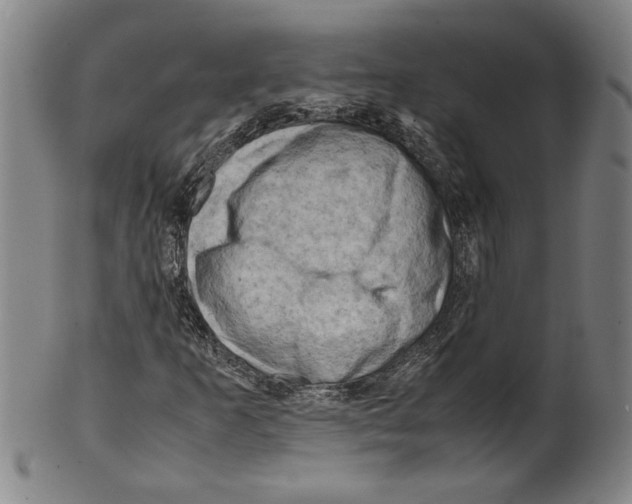 X0000099411253200806060923