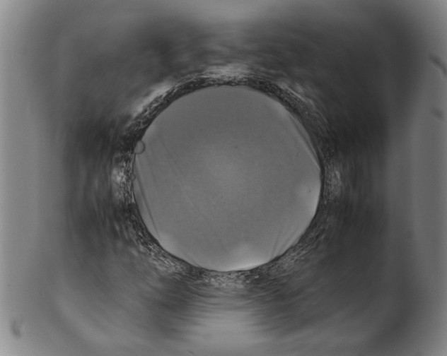 X0000099411254200806060923