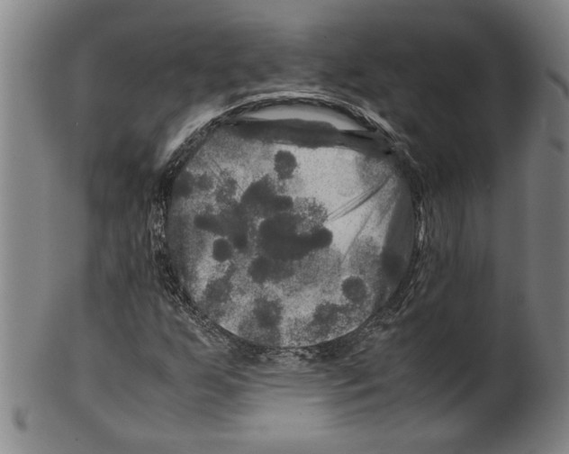 X0000099411255200806060923