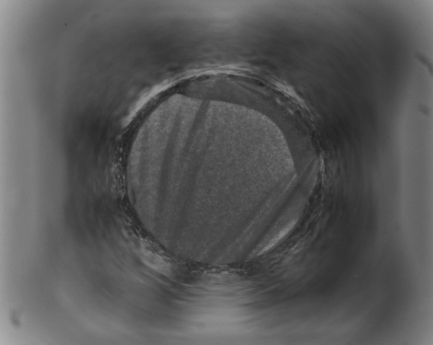 X0000099411256200806060923