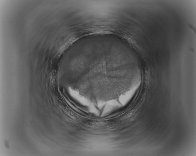 X0000099411257200806060923