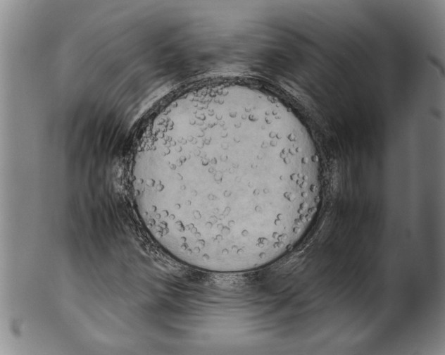 X0000099411258200806060923