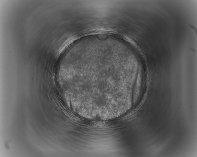 X0000099411259200806060923