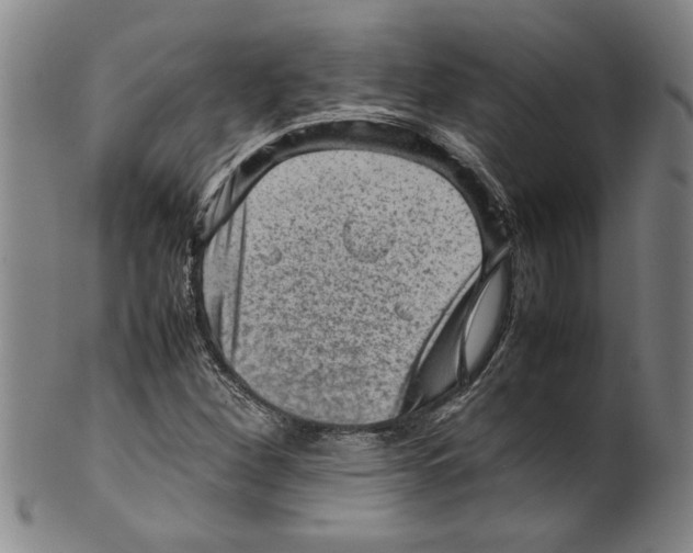 X0000099411260200806060923