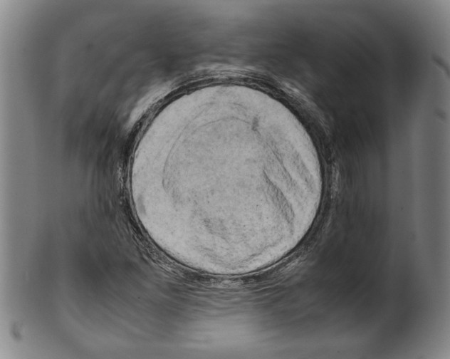 X0000099411261200806060923