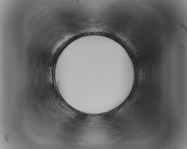 X0000099411262200806060923