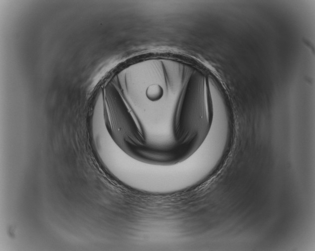 X0000099411263200806060923