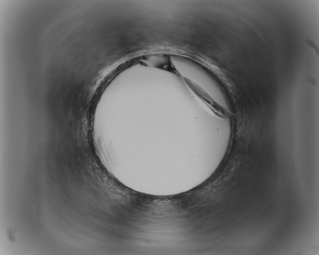 X0000099411264200806060923