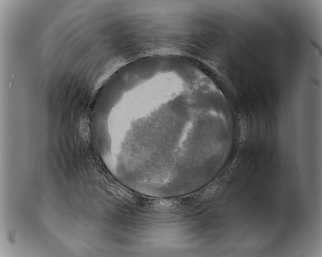 X0000099411266200806060923