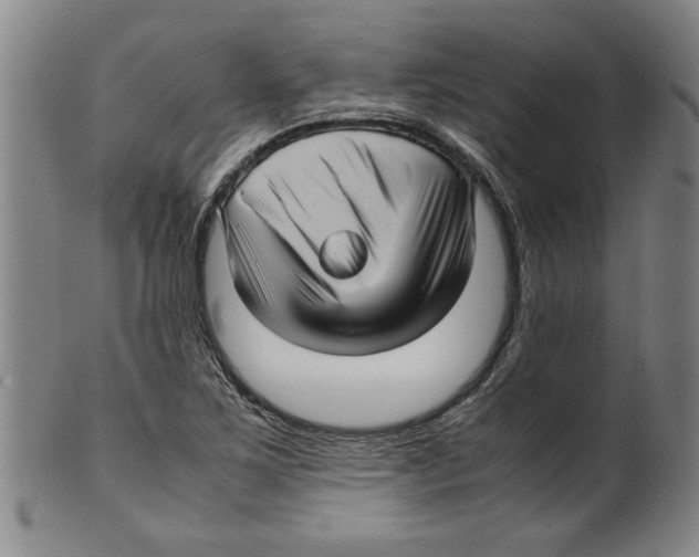 X0000099411267200806060923