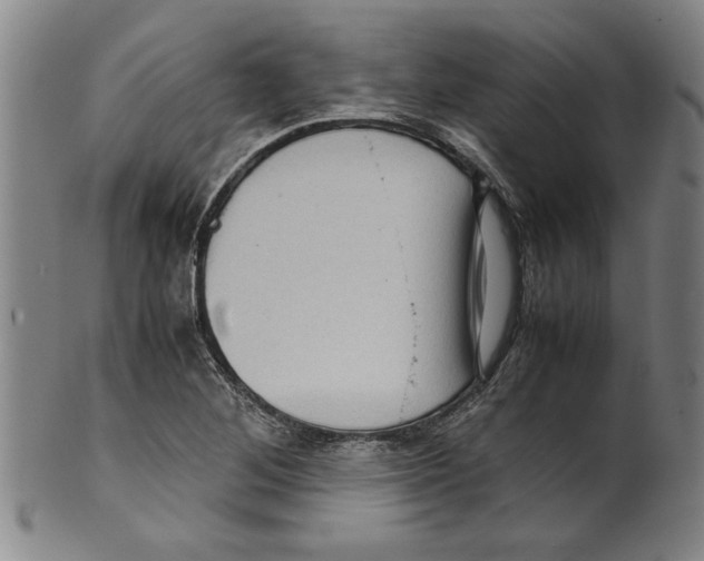 X0000099411268200806060923