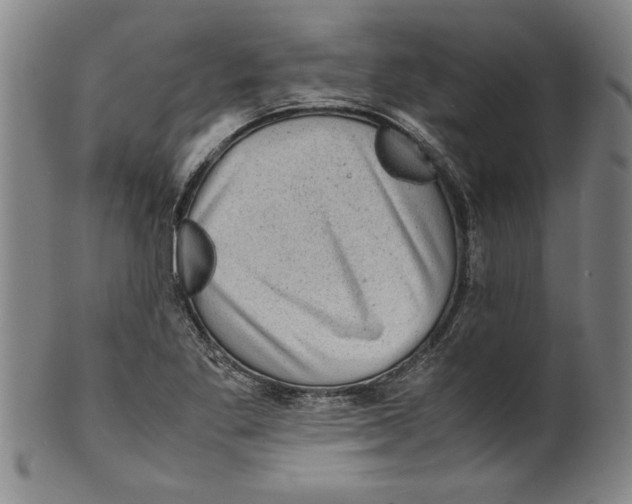 X0000099411269200806060923