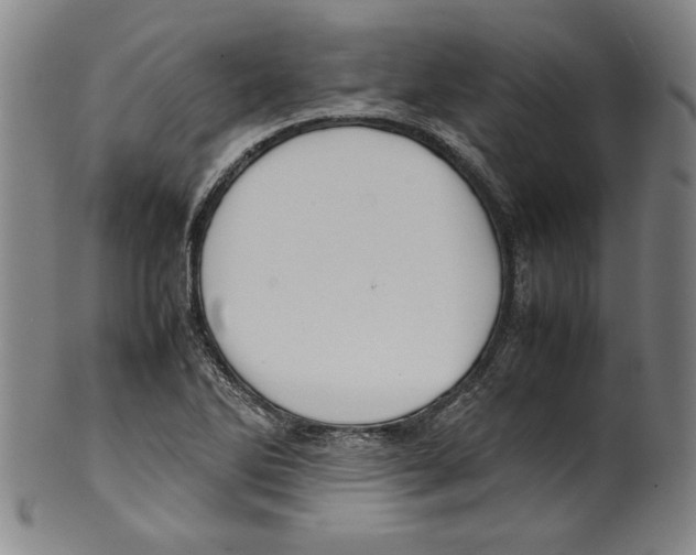 X0000099411270200806060923