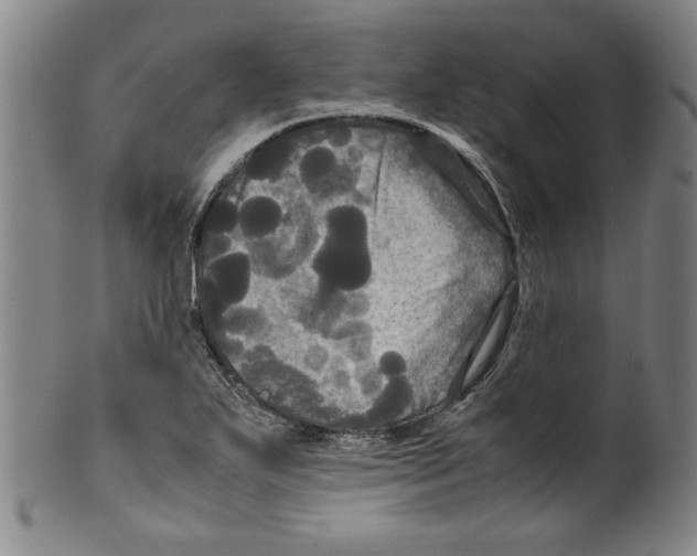 X0000099411271200806060923