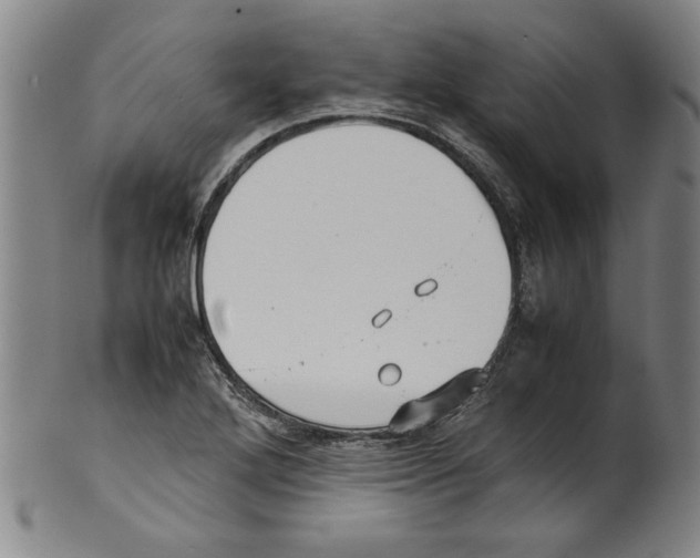 X0000099411272200806060923