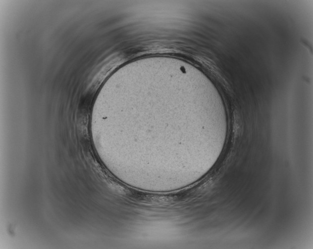 X0000099411273200806060923