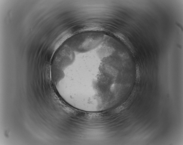 X0000099411274200806060923