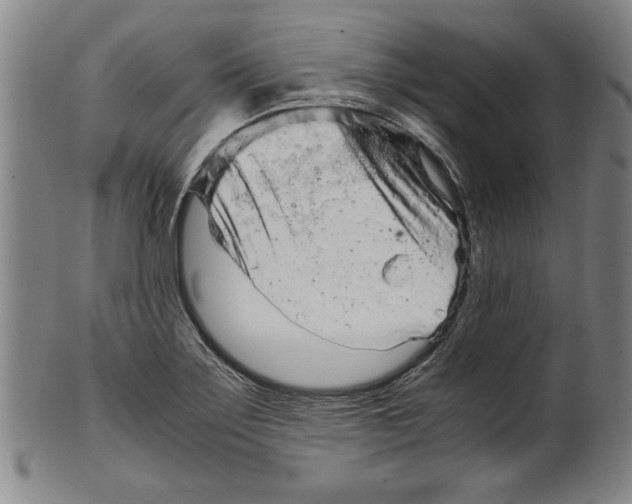 X0000099411275200806060923