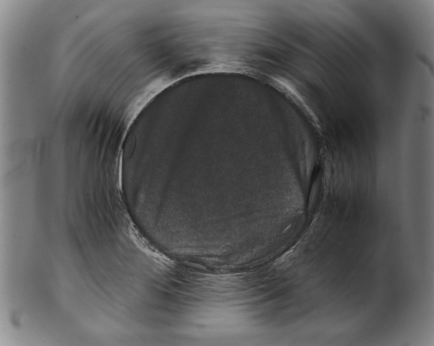 X0000099411276200806060923