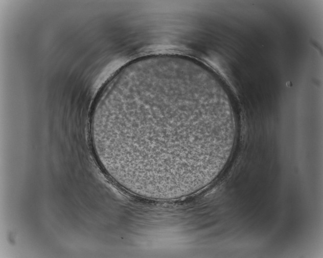 X0000099411277200806060923