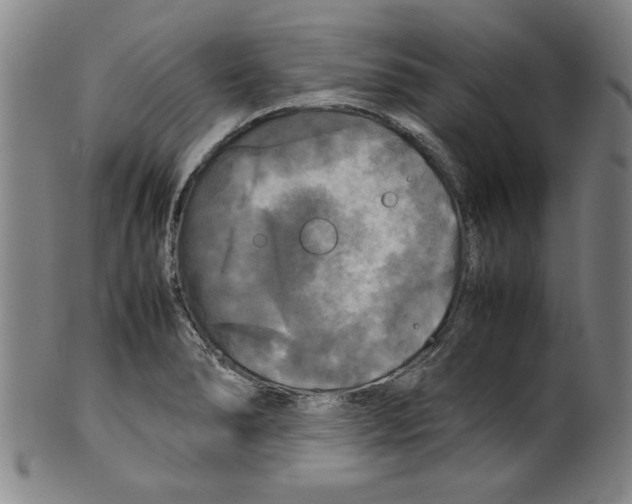 X0000099411278200806060923