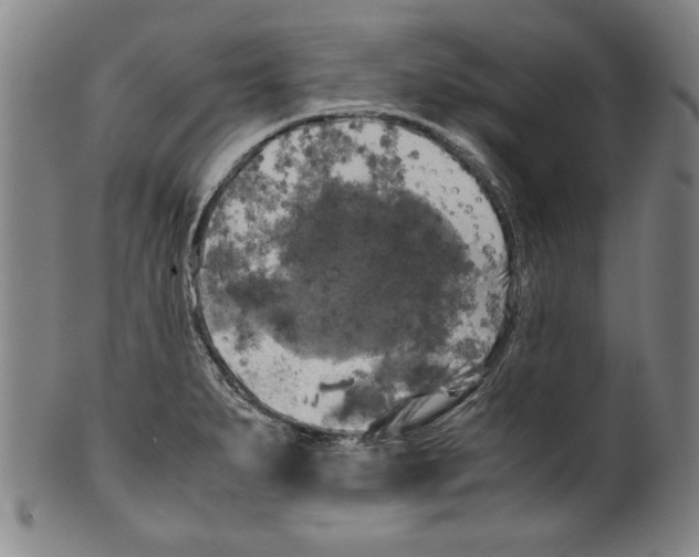 X0000099411279200806060923