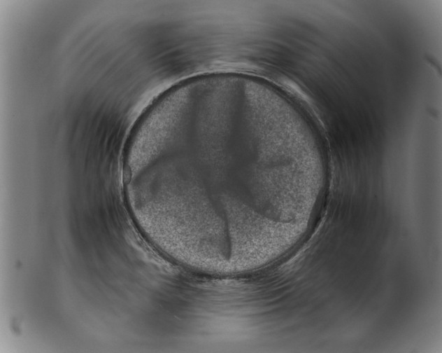 X0000099411280200806060923