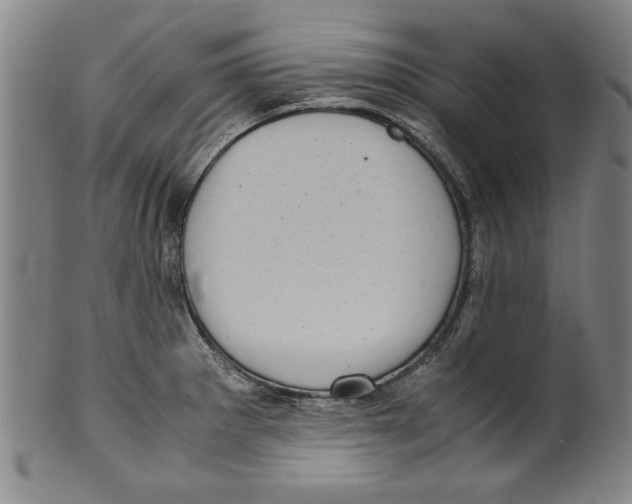 X0000099411281200806060923