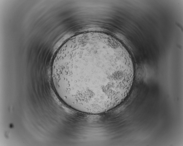 X0000099411282200806060923